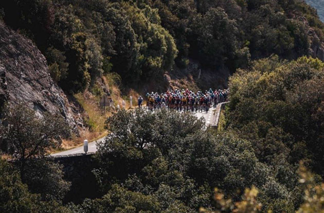 Peloton climbing in stage one